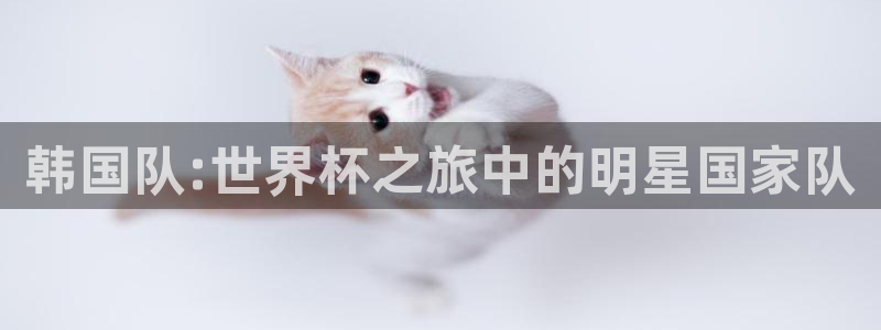 2026世界杯预选赛:韩国队:世界杯之旅中的明星国家队