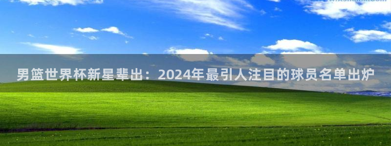 世界杯预选赛:男篮世界杯新星辈出:2024年最引人注目的球员名单出炉