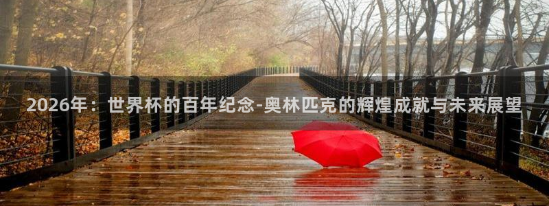 世界杯48支球队赛制:2026年:世界杯的百年纪念-奥林匹克的辉煌成就与未来展望