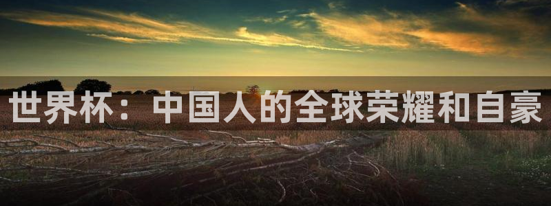 2026世界杯德国队阵容:世界杯:中国人的全球荣耀和自豪