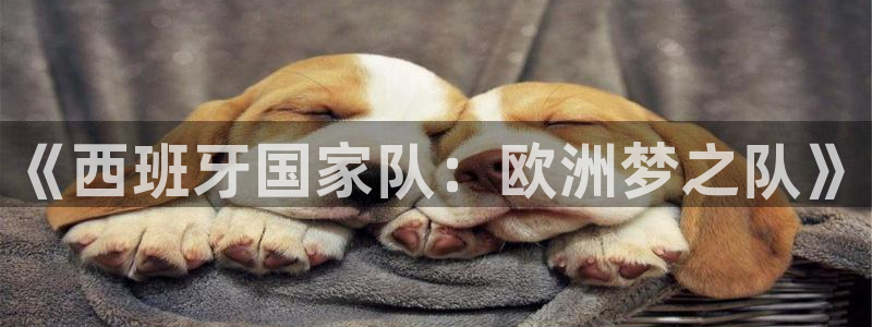 2026男足世界杯赛程:《西班牙国家队:欧洲梦之队》