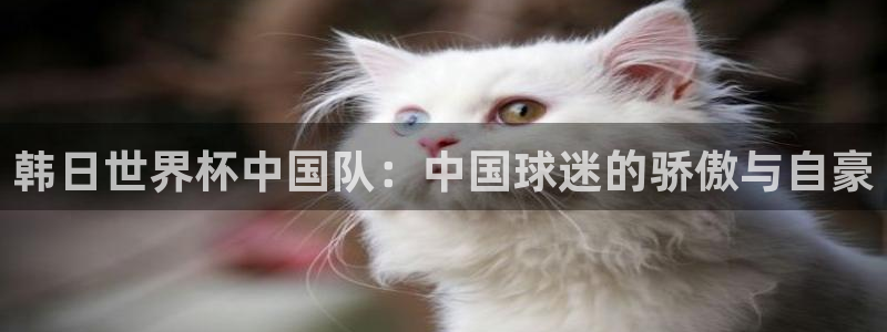 足球世预赛:韩日世界杯中国队:中国球迷的骄傲与自豪