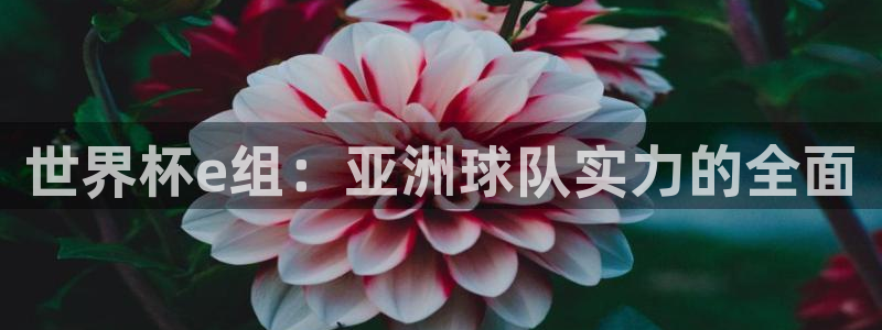 免费足球比赛直播高清:世界杯e组:亚洲球队实力的全面