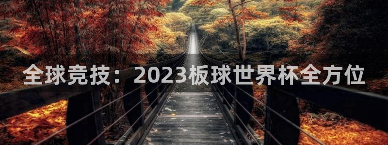 世界杯预选赛2026:全球竞技:2023板球世界杯全方位
