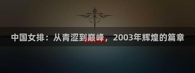 2026世界杯倒计时:中国女排:从青涩到巅峰,2003年辉煌的篇章